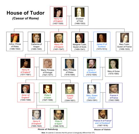 igor tudor blood|house of tudor ancestry.